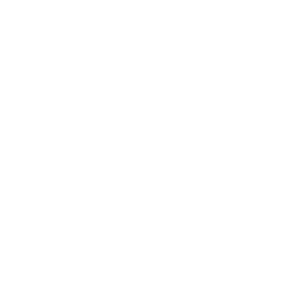 Government operations icon